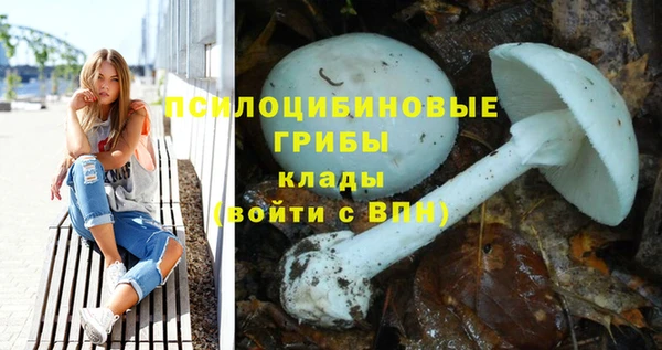 PSILOCYBIN Абинск