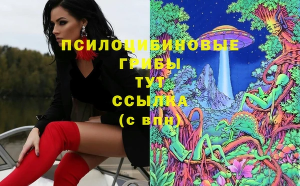 твердый Абаза
