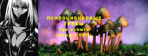 PSILOCYBIN Абинск