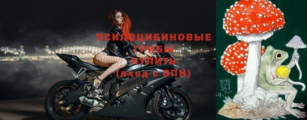 PSILOCYBIN Абинск