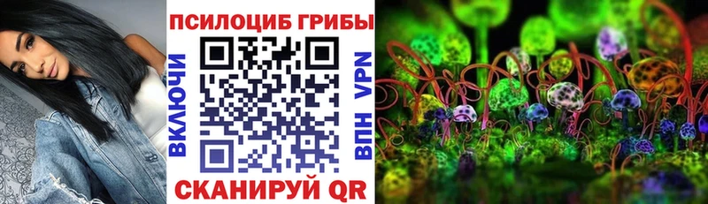 даркнет сайт Сусуман площадка состав Псилоцибиновые грибы Psilocybe