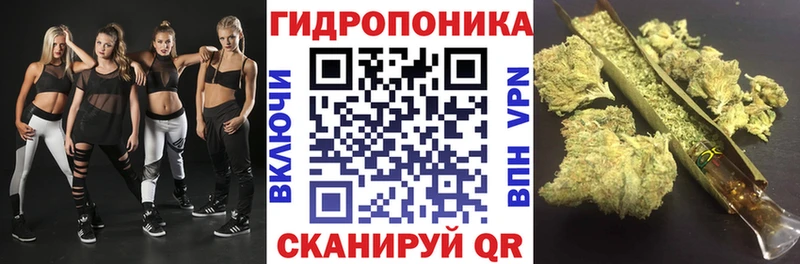 закладка  MEGA зеркало  Бошки марихуана Amnesia  Сусуман 